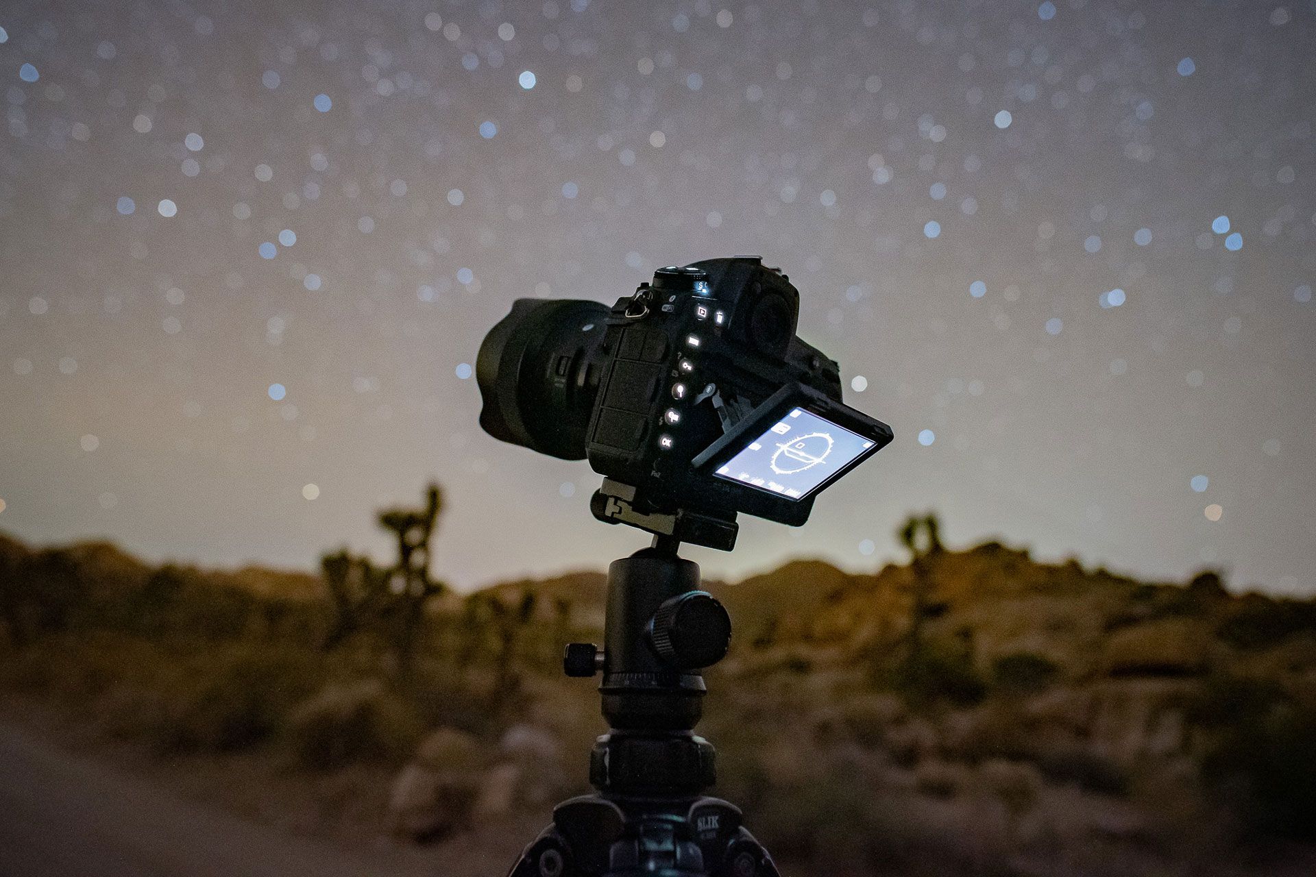 Профессиональный фотограф в Баку